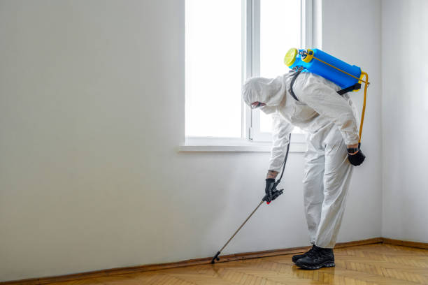 Pest Control for Hotels